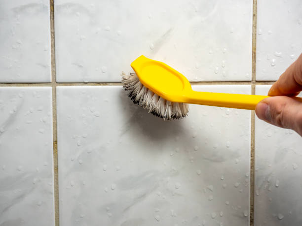 Best Mold Testing and Removal  in Oak Valley, NJ