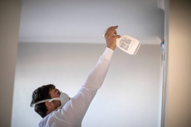 Best Mold Damage Repair  in Oak Valley, NJ