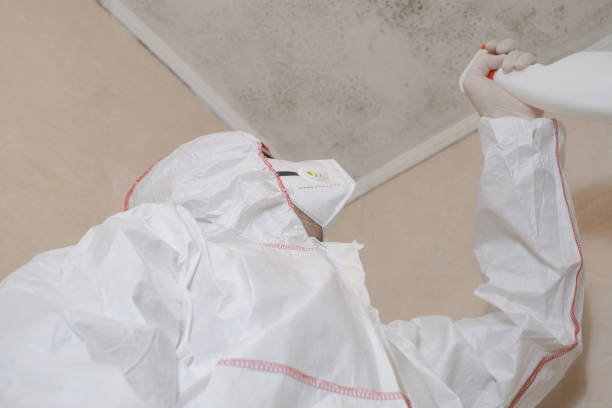 Best Local Mold Removal Service  in Oak Valley, NJ